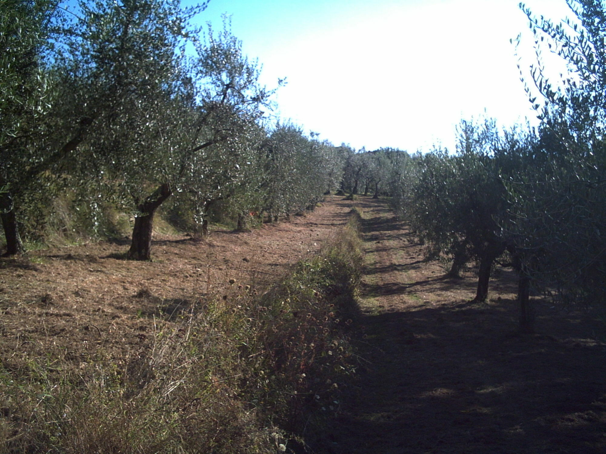 Podere Campofossato Пистоя Екстериор снимка